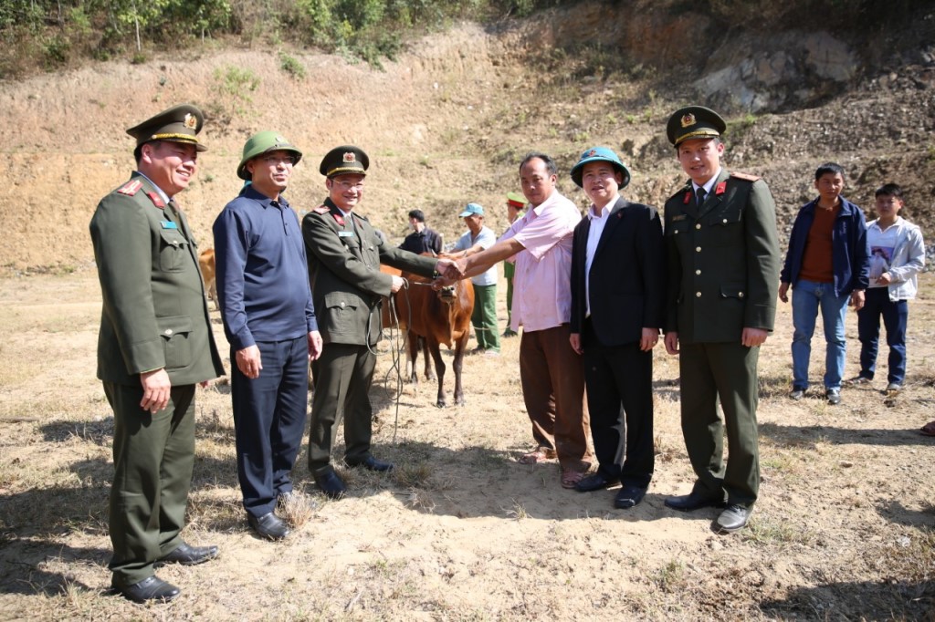 Trao bò giống sinh sản tặng người dân