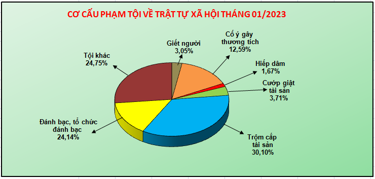 Biểu đồ cơ cấu tội phạm về trật tự xã hội tháng 01/2023.