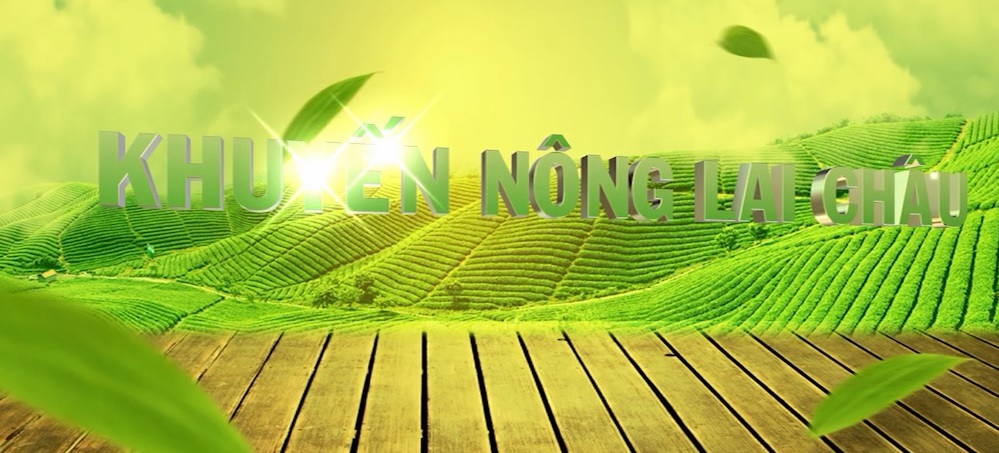 Khuyến nông Lai Châu, ngày 29-05-2023
