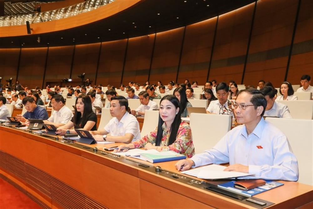 Các đại biểu dự phiên họp.