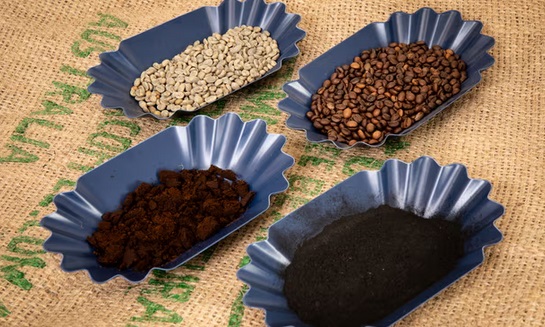 Các mẫu hạt cà phê, hạt cà phê đã rang, bã cà phê và than sinh học từ cà phê.