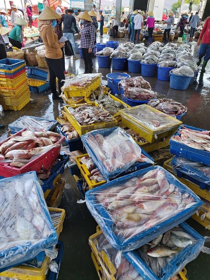 Toàn tỉnh có khoảng 1.600 lao động tham gia gián tiếp phục vụ nghề cá trên bờ. Trong ảnh: Hải sản sau chuyến đánh bắt được đưa lên Cảng Hưng Thái (huyện Long Điền).
