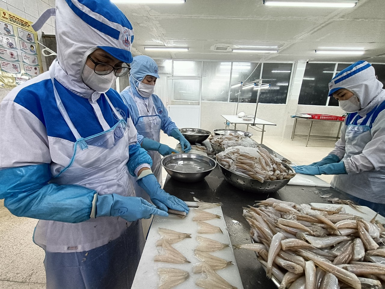 Chế biến cá đục xuất khẩu ở Công ty Tứ Hải.