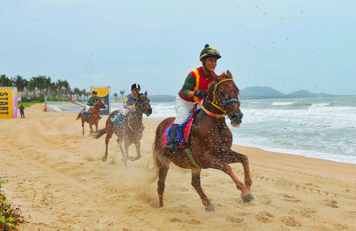 Lần đầu tiên The Grand Ho Tram tổ chức biểu diễn ngựa đua trên bãi biển Hồ Tràm 