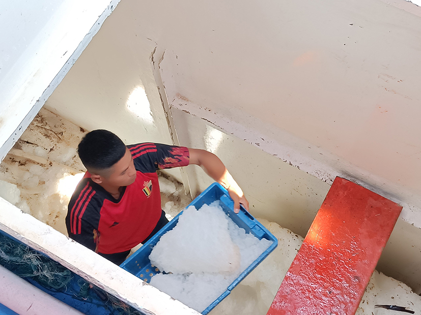 Ngày càng có nhiều tàu cá đầu tư hầm bảo quản composite giúp tăng chất lượng sản phẩm và giá bán.