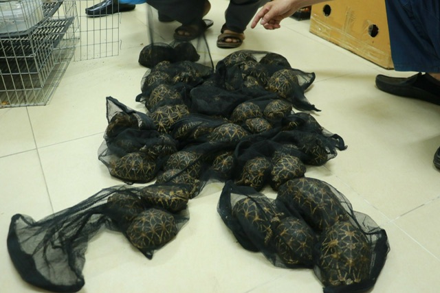 Một phần tang vật thu giữ 