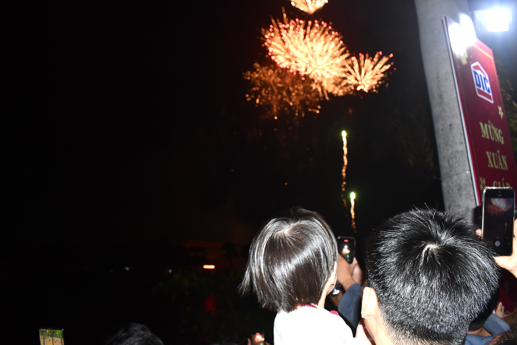 Người dân chiêmg ngưỡng pháo hoa tại khu hồ Bàu Trũng, TP. Vũng Tàu.