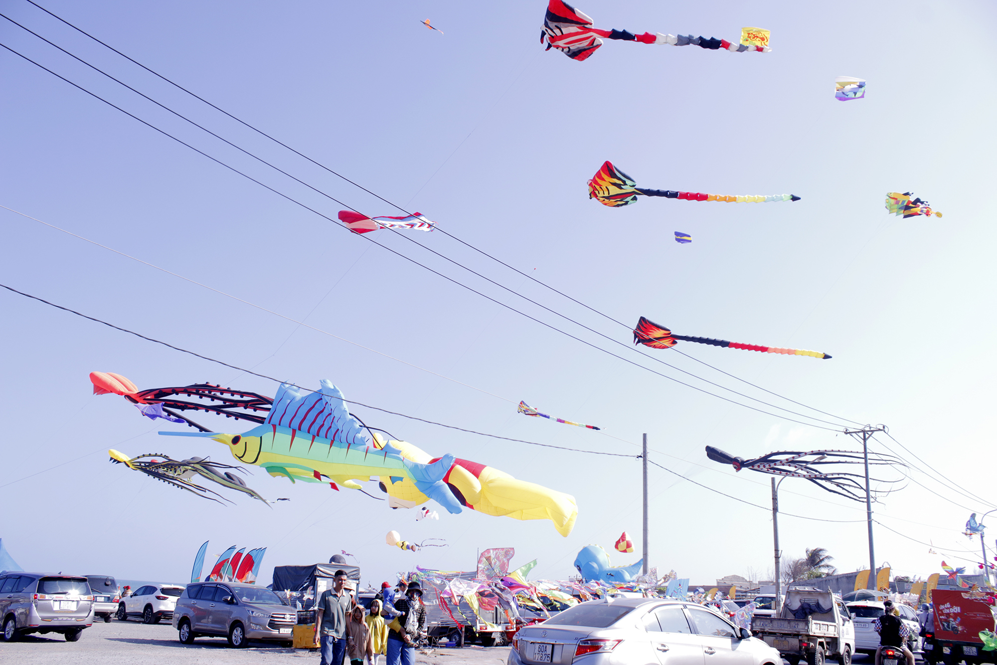 Các loại diều khổng lồ đầy màu sắc tung bay trên bãi biển Phước Hải.