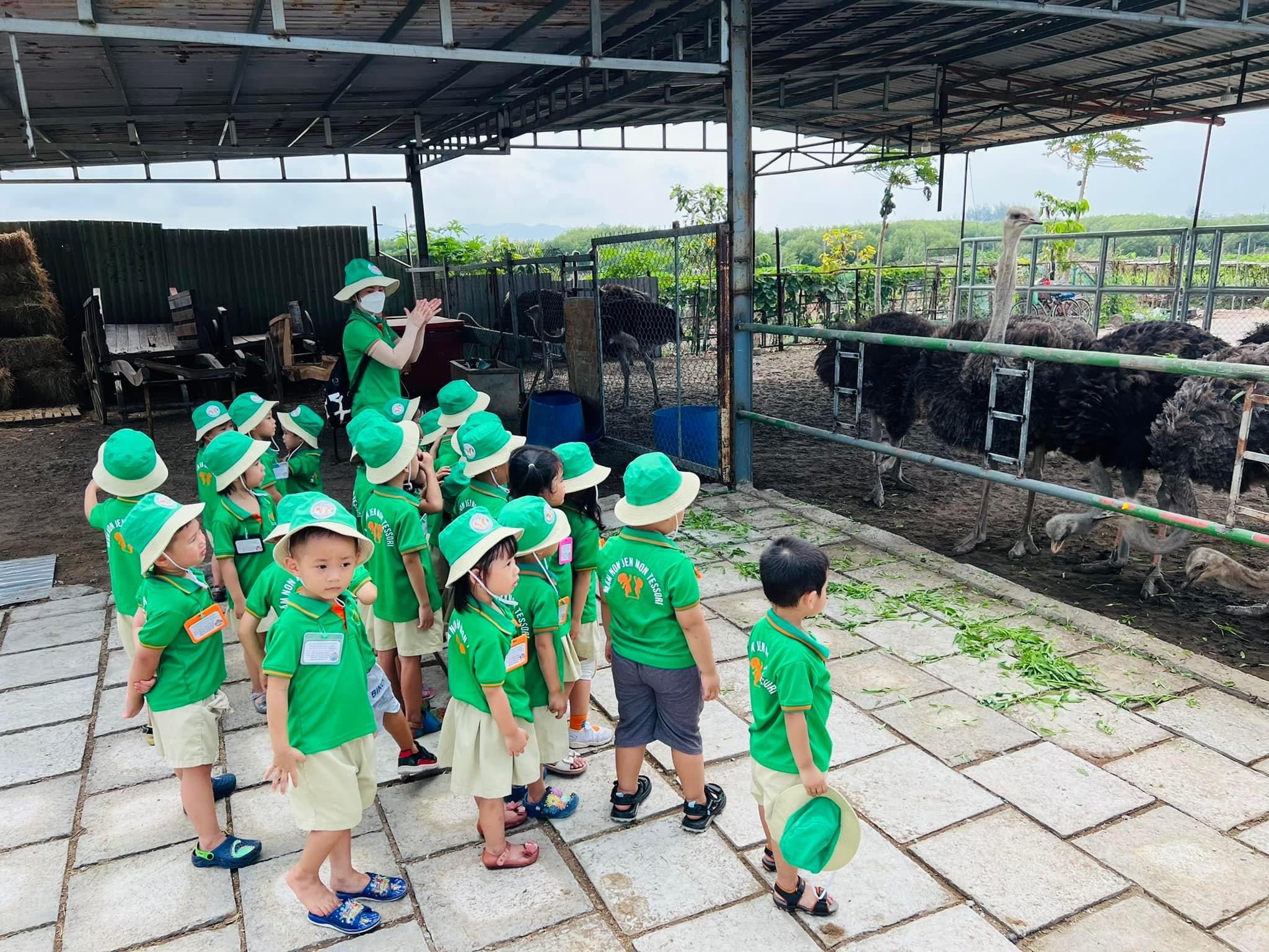 Trẻ trải nghiệm nông trại giữa phố thị Vũng Tàu.