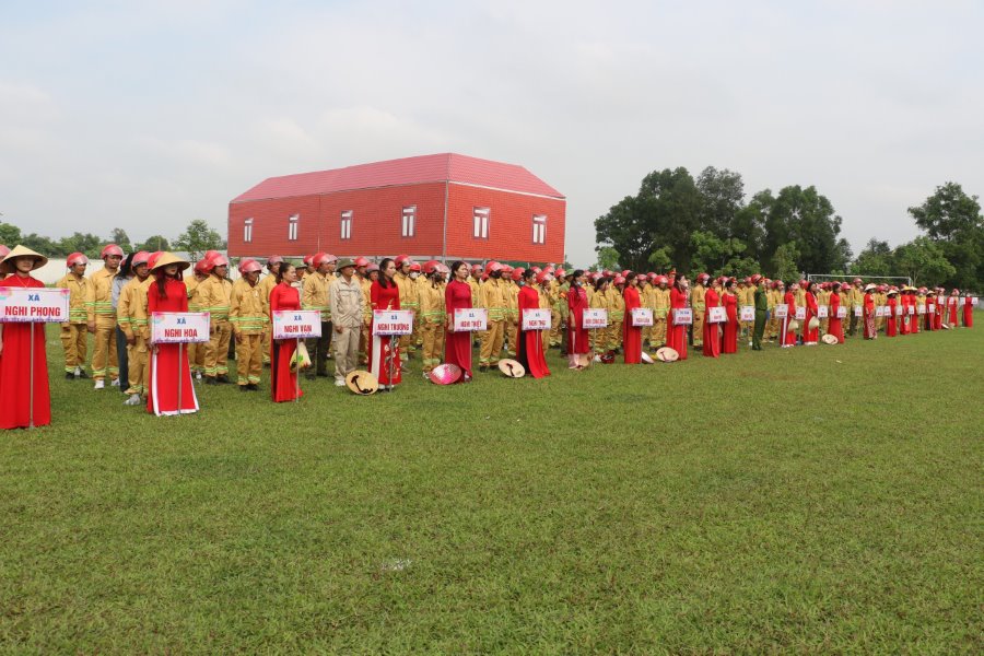Các đội tham gia 