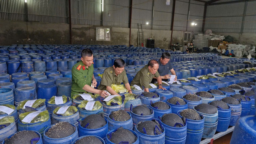 Lực lượng chức năng tiến hành niêm phong tang vật – các thùng chứa giá đỗ ngâm hóa chất 