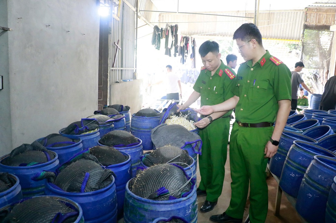 Hàng ngàn lu chứa giá đỗ ngâm hóa chất mà 4 cơ sở sản xuất vừa bị Công an Nghệ An triệt phá