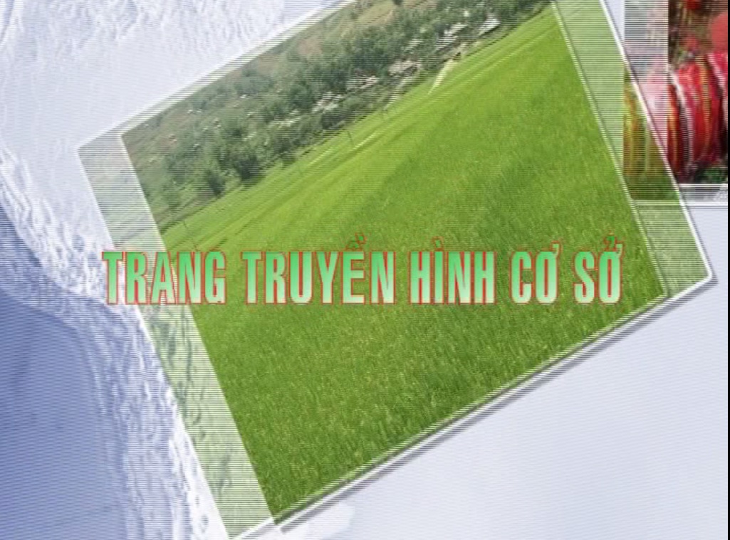 Trang truyền hình cơ sở 01-08-2025