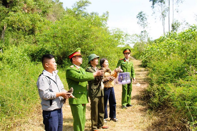 Công an xã tuyên truyền, vận động 02 công dân trên địa bàn giao nộp 06 cá thể chim quý hiếm