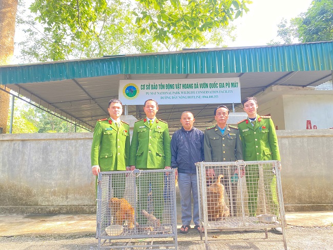 Công an xã bàn giao cá thể động vật cho Trung tâm cứu hộ bảo tồn và Phát triển sinh vật thuộc vườn quốc gia Pù Mát