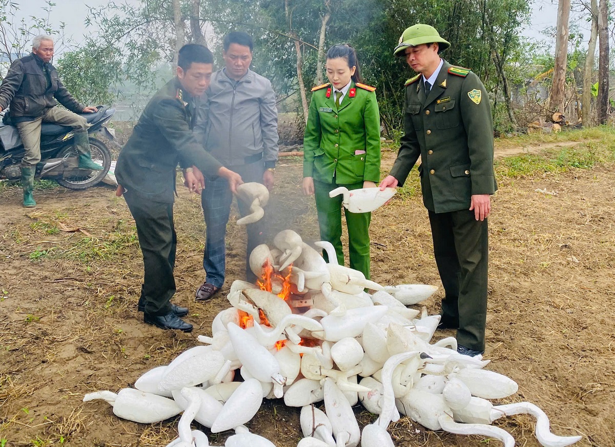 Công an phường phối hợp Hạt kiểm lâm Vinh - Cửa Lò và Phòng Kinh tế hạ tầng và đô thị UBND phường Cửa Lò tổ chức tiêu huỷ 62 con cò giả bằng xốp dùng làm dụng cụ để săn bắt chim trời