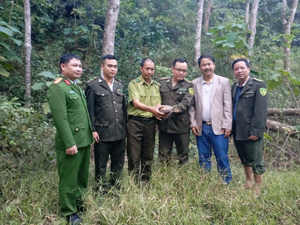 Lực lượng Công an bàn giao rùa quý hiếm cho Hạt Kiểm Lâm