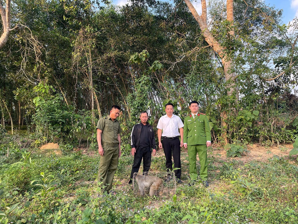 Công an xã Tân An cùng chính quyền địa phương và Hạt kiểm lâm Tân Kỳ hoàn tất thủ tục thả cá thể khỉ về môi trường tự nhiên