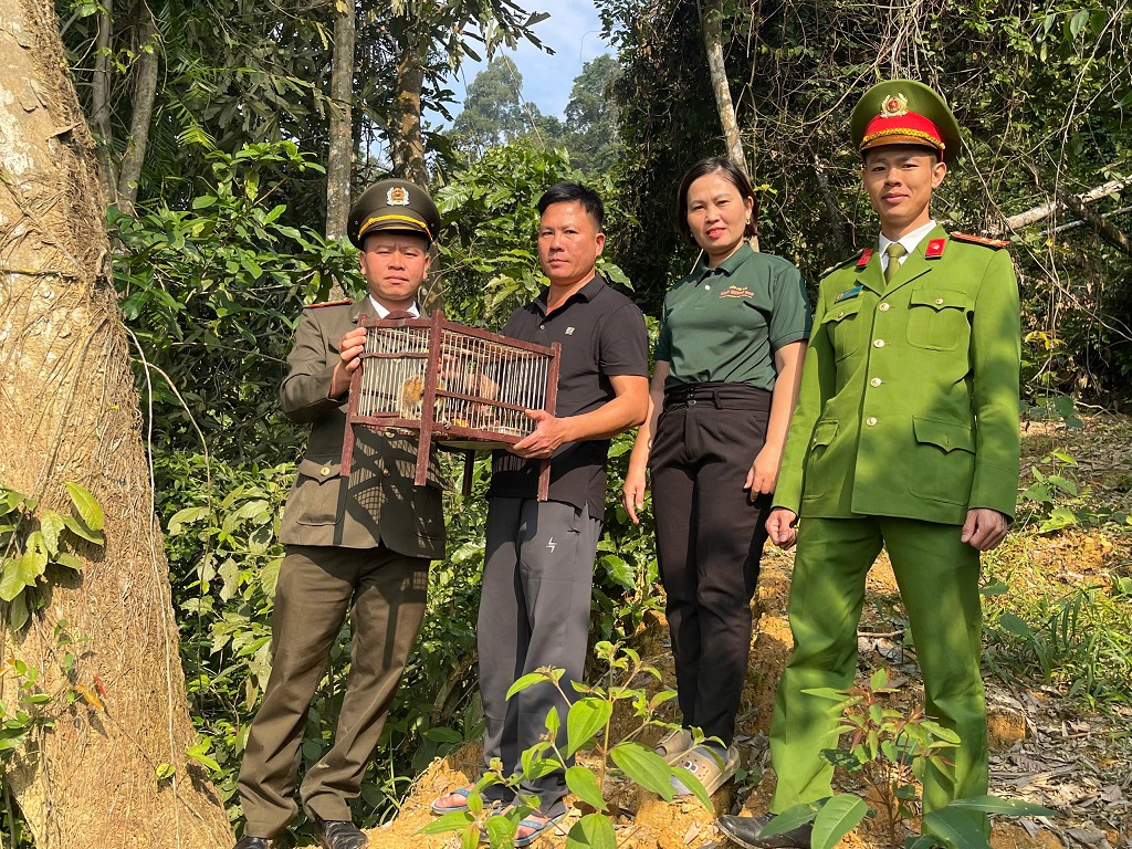 Lực lượng chức năng tiếp nhận cá thể culi 