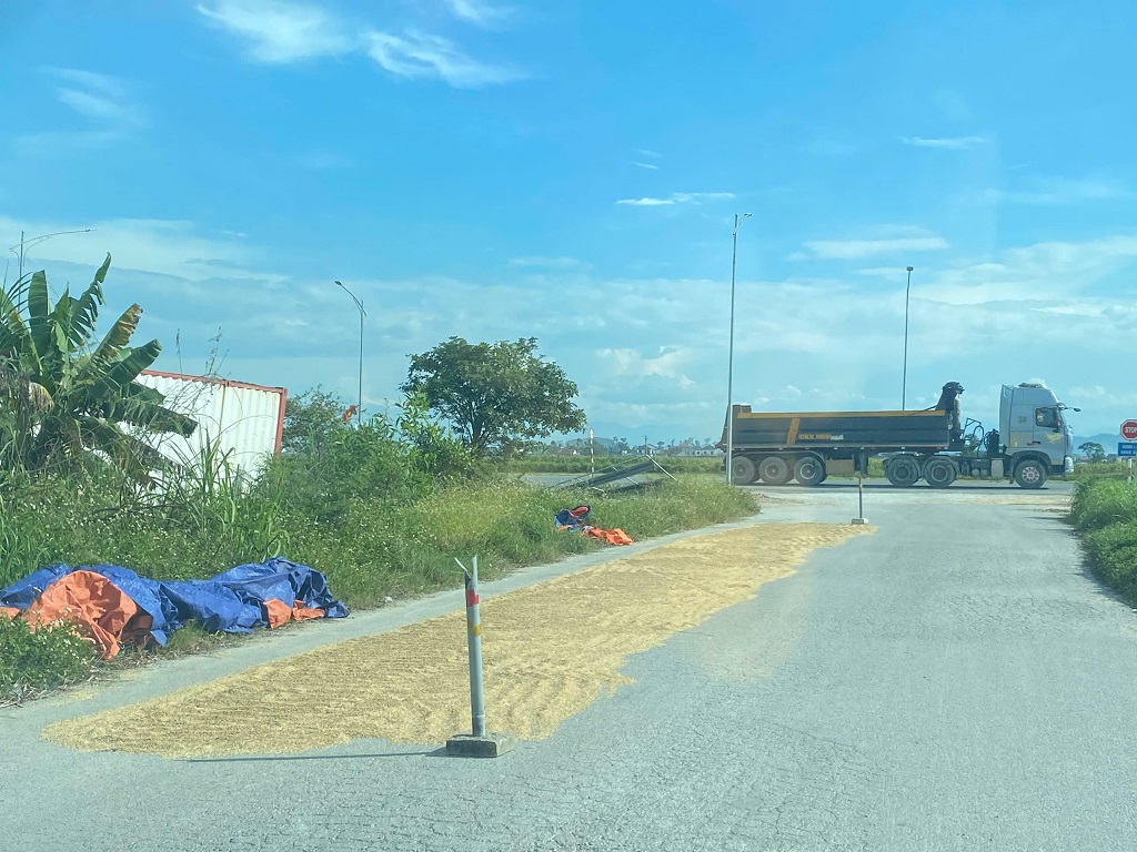 Tình trạng người dân phơi rơm, rạ, lúa tại một số tuyến đường