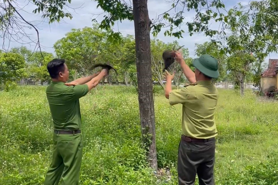 Công an xã Trung Lộc thả cá thể chim trời về môi trường tự nhiên