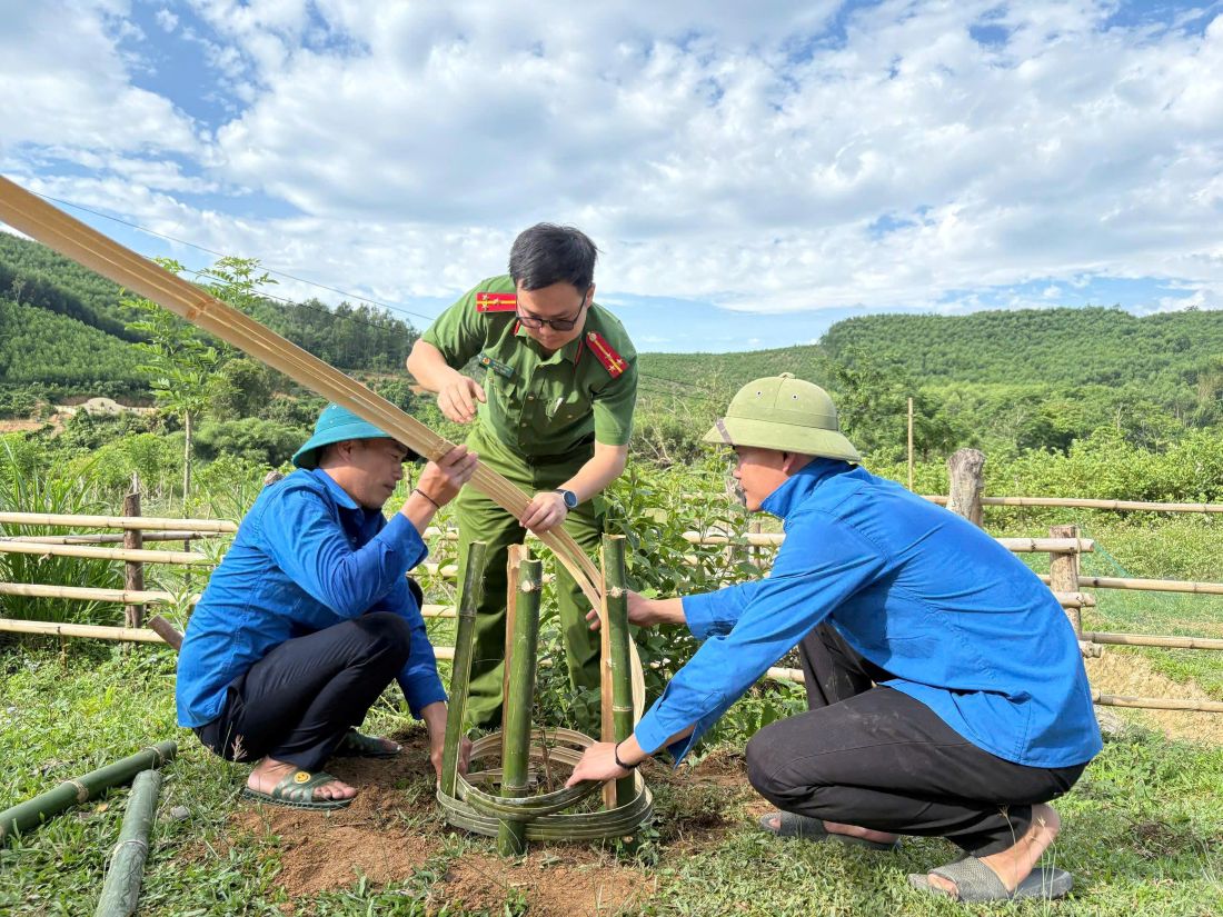 Cán bộ, chiến sĩ, đoàn viên trồng cây xanh