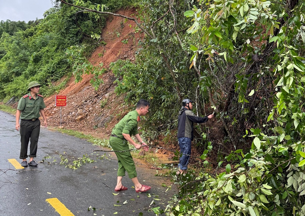Công an xã xử lý cây đổ ra đường