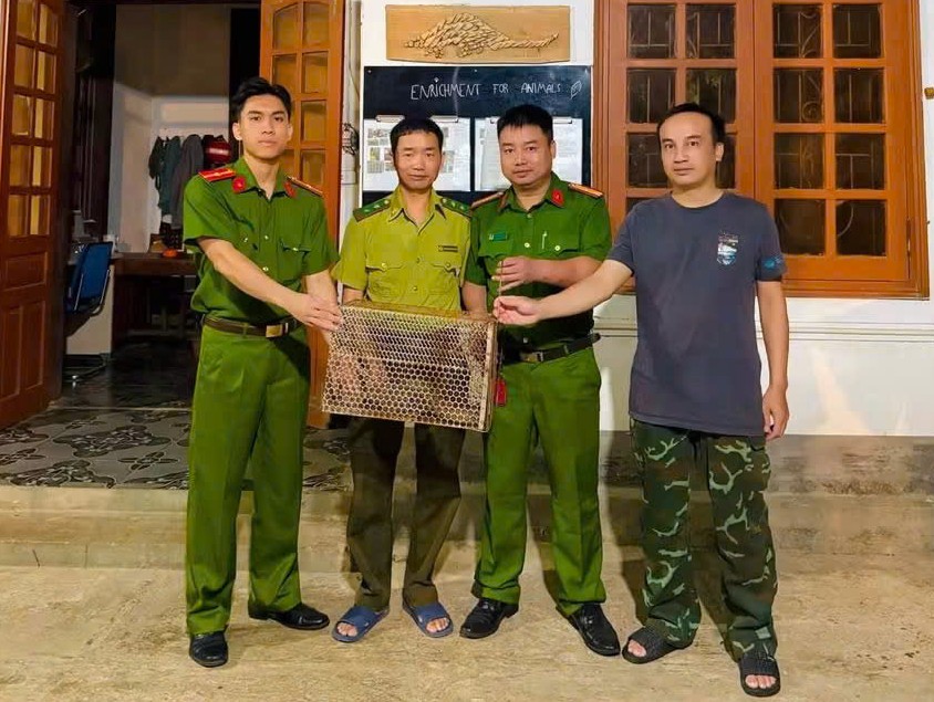 Công an xã Quỳnh Lưu tiếp nhận một cá thể kỳ đà vân do người dân phát hiện và giao nộp