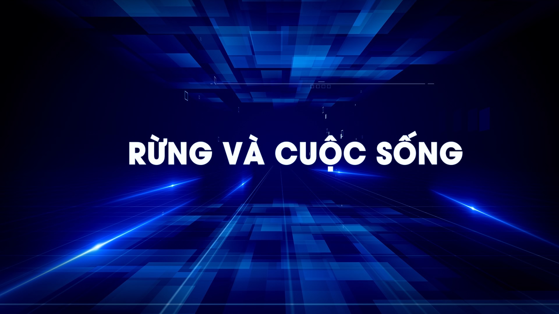 Rừng và cuộc sống 30-09-2026