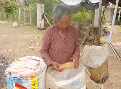 Dù ở tuổi 75 nhưng bà Nguyễn Thị Thìn (ấp Sông Cầu, xã NghĩaThành, huyện Châu Đức) vẫn mưu sinh trên QL56 bằng nghề bán bắp luộc.