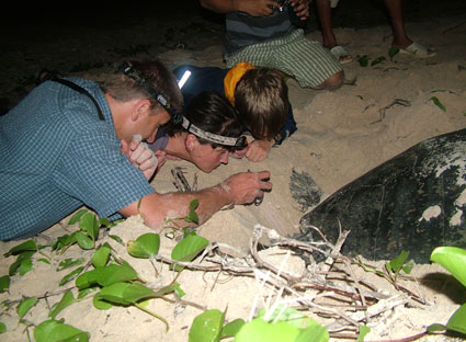 Con Dao National Park recognized as the first Ramsar recognition of Vietnam