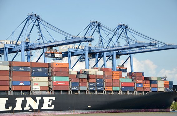Nếu thỏa các dịch vụ logistics cho các chủ hàng thì lượng hàng hóa về cụm cảng Cái Mép - Thị Vải sẽ nhiều hơn. Trong ảnh: Bãi chứa container của cảng quốc tế Cái Mép.