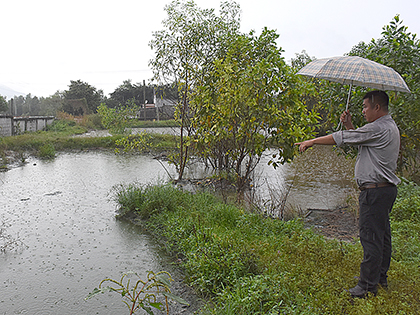 Ao lắng chứa nước thải của trại chăn nuôi heo Đông Á không đạt quy chuẩn về môi trường. Ảnh: MINH TÂM