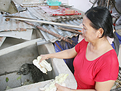 Gia đình anh Phạm Xuân Đạt (khu phố Kim Sơn, phường Kim Dinh, TP. Bà Rịa) là một trong 10 hộ nghèo, cận nghèo của phường được Hội Nông dân tỉnh hỗ trợ nhím giống nuôi để tăng thu nhập, vươn lên thoát nghèo. 