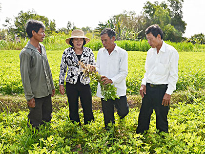 Cán bộ nông nghiệp Trung tâm Khuyến nông tỉnh hướng dẫn người dân xã Nghĩa Thành (huyện Châu Đức) thực hiện mô hình canh tác đậu phộng  trên đất lúa kém hiệu quả. Ảnh: THANH TRÍ 