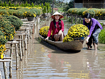 Đi tour ngày giáp Tết, du khách sẽ có những bộ hình ấn tượng với hoa.