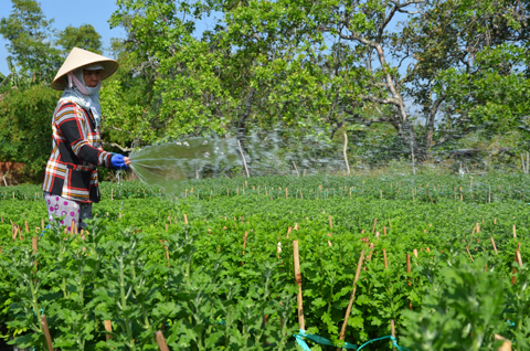 Nhờ có điện lưới, chị Phạm Thị Thơ (Tổ 7, ấp Thạnh Sơn III, xã Phước Tân, Xuyên Mộc) đã thuận lợi hơn trong việc chạy máy bơm tưới nước cho vụ hoa Tết 2018. 