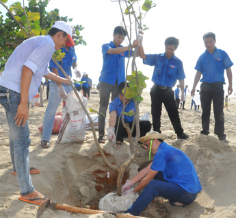 Đoàn viên, thanh niên Đoàn Khối Doanh nghiệp tỉnh tham gia trồng cây bàng vuông tại bờ biển Bãi Sau (TP.Vũng Tàu).