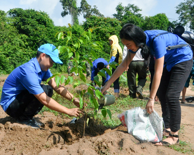 Đoàn viên, thanh niên tham gia phong trào “Trồng cây đời đời nhớ ơn Bác Hồ” do Tỉnh Đoàn phát động tại Khu bảo tồn thiên nhiên Bình Châu - Phước Bửu (huyện Xuyên Mộc).