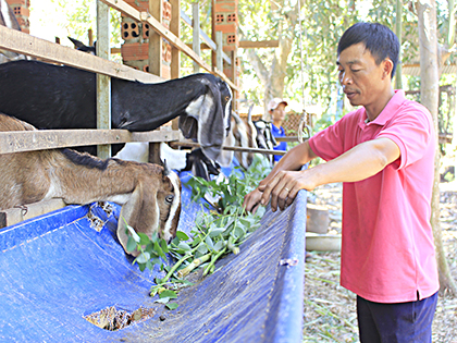 Gia đình anh Nguyễn Kiều Hưng (ở tổ 2, thôn 2, xã Ruối Sao, huyện Châu Đức) rất muốn mua thẻ BHYT nhưng mức thu nhập quá thấp nên chưa thể tham gia.