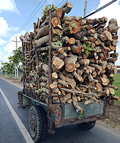 Xe tự chế chở những cây gỗ dài cả chục mét “nghênh ngang” trên đường Võ Nguyên Giáp (TP.Vũng Tàu).