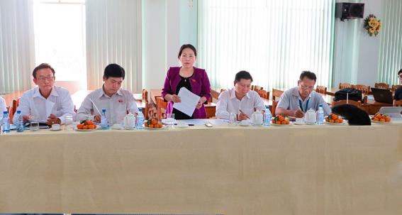 Đồng chí Nguyễn Thị Yến, Phó Bí thư Thường trực Tỉnh ủy, Trưởng Đoàn Đại biểu Quốc hội tỉnh phát biểu tại buổi làm việc.