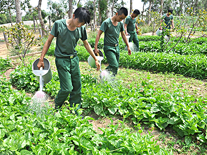 Ngoài học tập, tân binh còn tích cực lao động tăng gia sản xuất, cải thiện bữa ăn cho đơn vị.