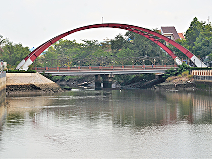 Vùng hạ lưu sông Dinh chảy qua cầu Long Hương (phường Long Hương, TP.Bà Rịa) cũng bị bồi lấp, tắc nghẽn, khả năng tiêu thoát nước kém.