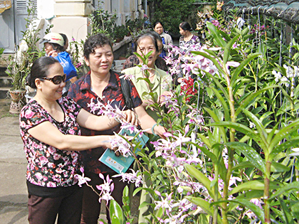 Thời gian qua, Hội Nông dân TP.Vũng Tàu và các phường đã có nhiều đóng góp cho sự phát triển kinh tế, văn hóa, xã hội của địa phương. Trong ảnh: Hội viên Hội Nông dân được tham gia lớp tập huấn trồng hoa lan do Hội Nông dân TP.Vũng Tàu tổ chức.