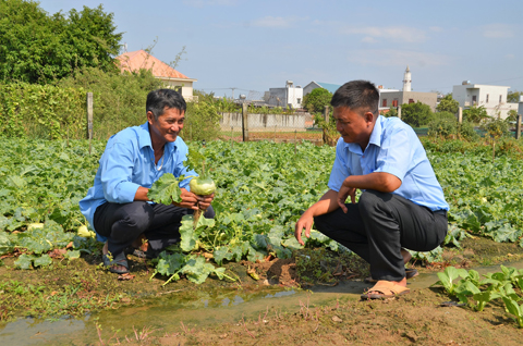 Cán bộ Hội Nông dân xã Phước Hưng (bên phải) trao đổi với ông Nguyễn Văn Bình (ấp Phước Lâm, xã Phước Hưng) về kỹ thuật trồng su hào.