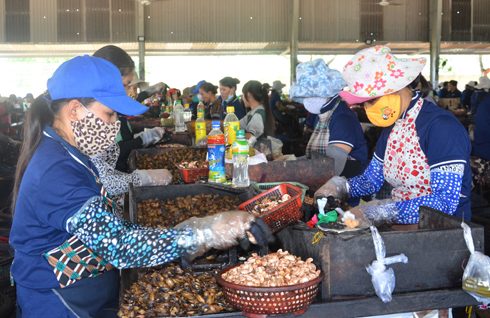 Chế biến hạt điều thô tại Công ty TNHH Cao Phát, xã Bình Giã, huyện Châu Đức.