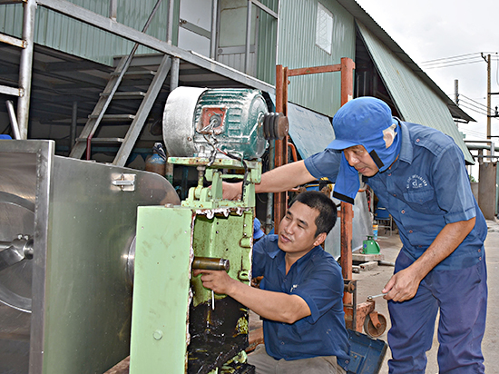 Anh Mã Thành Phương (phải), Trưởng Phòng Kỹ thuật Xí nghiệp chế biến hải sản, thuộc Công ty CP Thủy sản - Xuất nhập khẩu Côn Đảo (COIMEX) hướng dẫn lao động sửa chữa máy móc. 