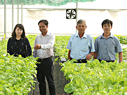 6 tháng đầu năm 2018, giá trị sản xuất nông nghiệp trên địa bàn tỉnh BR-VT tăng 4,27%. Trong ảnh: Mô hình trồng rau an toàn của Công ty sản xuất nông nghiệp Sao Mai- Xã Long Mỹ. Ảnh: PV