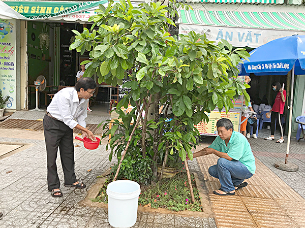 Các thành viên của Hội Cựu chiến binh chăm sóc cây xanh trên đường Lê Văn Lộc.